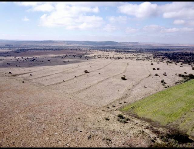 FARM FOR SALE IN HEILBRON